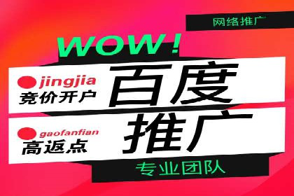 百度推广的秘诀：以某电商平台的成功经验为例